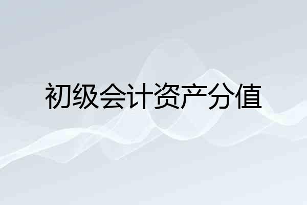初级会计资产分值
