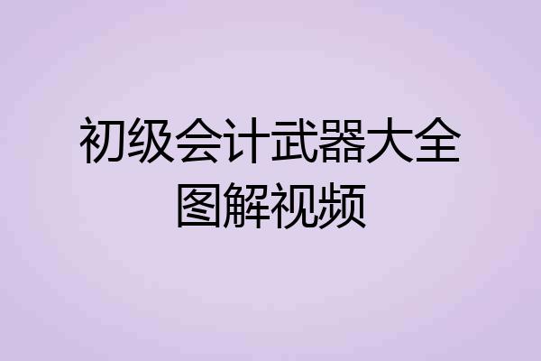 初级会计武器大全图解视频