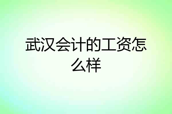 武汉会计的工资怎么样