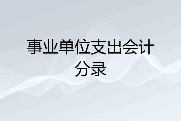 事业单位支出会计分录