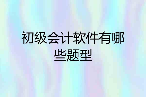 初级会计软件有哪些题型