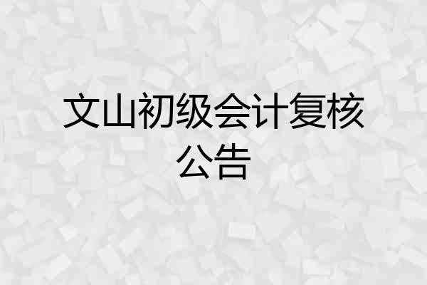 文山初级会计复核公告