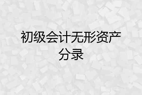 初级会计无形资产分录