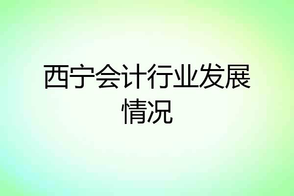 西宁会计行业发展情况
