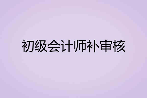 初级会计师补审核