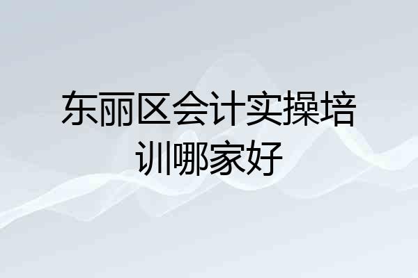 东丽区会计实操培训哪家好