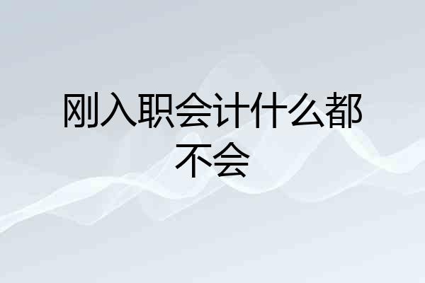 刚入职会计什么都不会