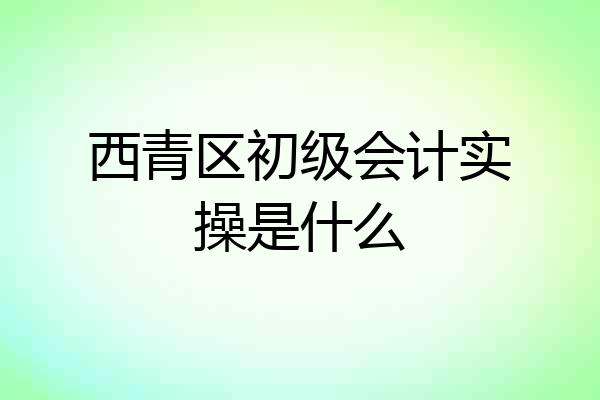 西青区初级会计实操是什么