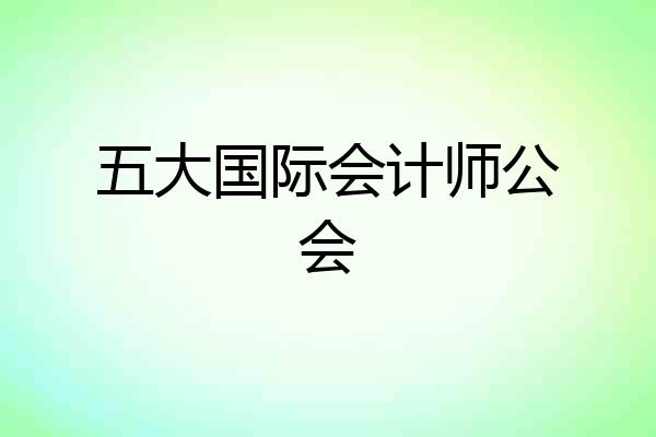 五大国际会计师公会