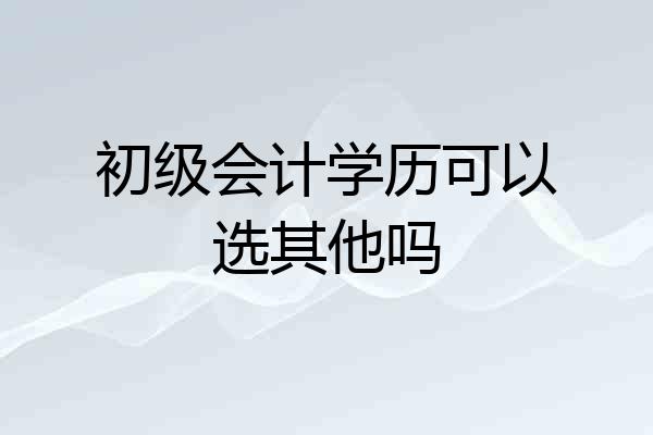 初级会计学历可以选其他吗