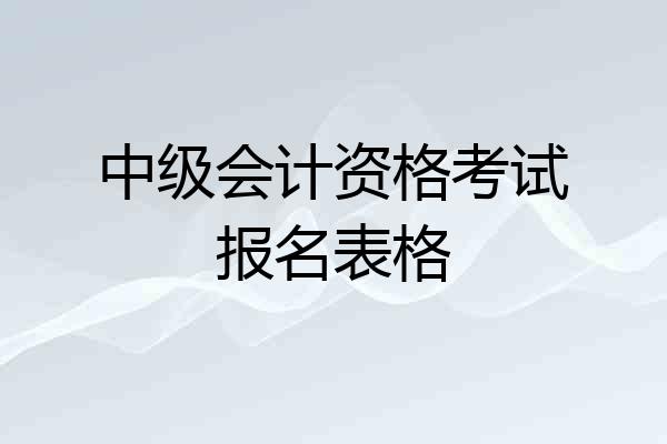 中级会计资格考试报名表格