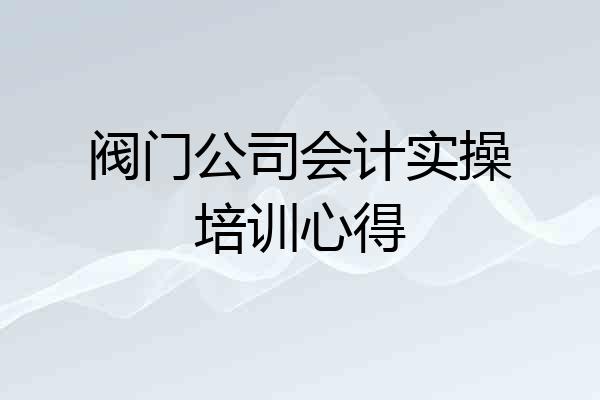 阀门公司会计实操培训心得