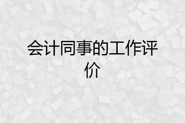 会计同事的工作评价
