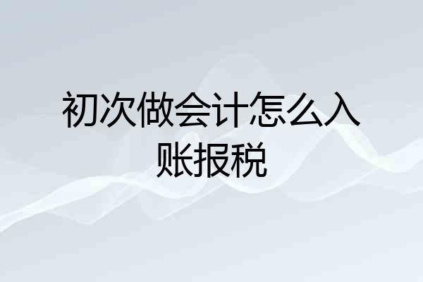 初次做会计怎么入账报税
