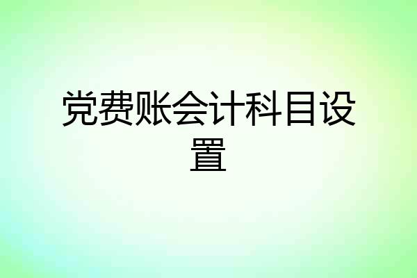 党费账会计科目设置