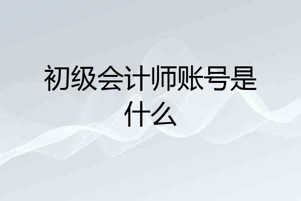 初级会计师账号是什么