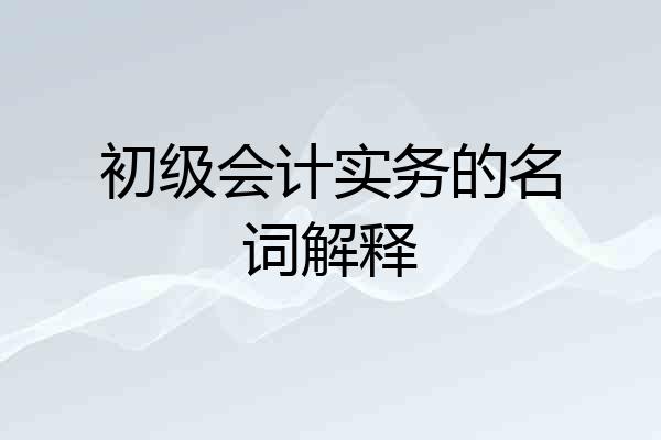 初级会计实务的名词解释