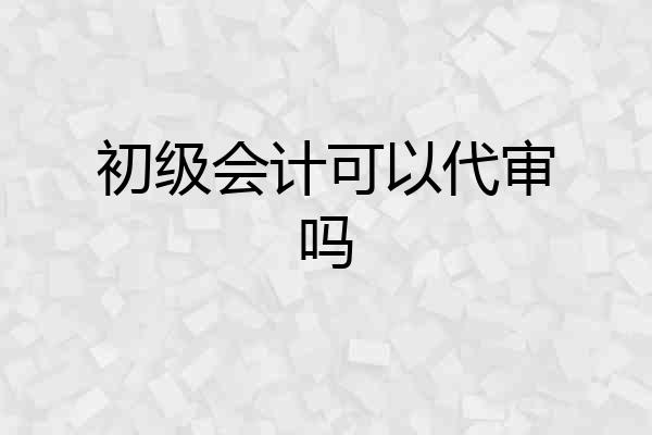 初级会计可以代审吗
