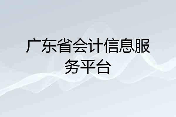 广东省会计信息服务平台