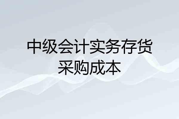 中级会计实务存货采购成本
