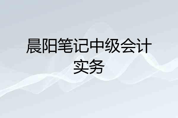 晨阳笔记中级会计实务