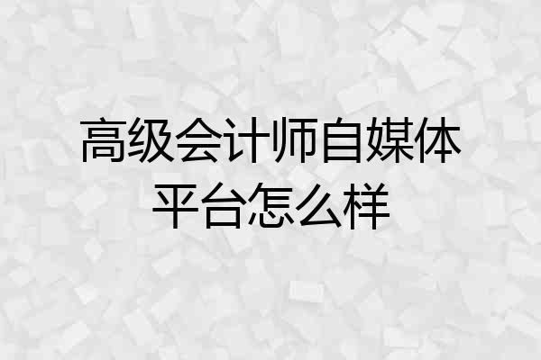 高级会计师自媒体平台怎么样