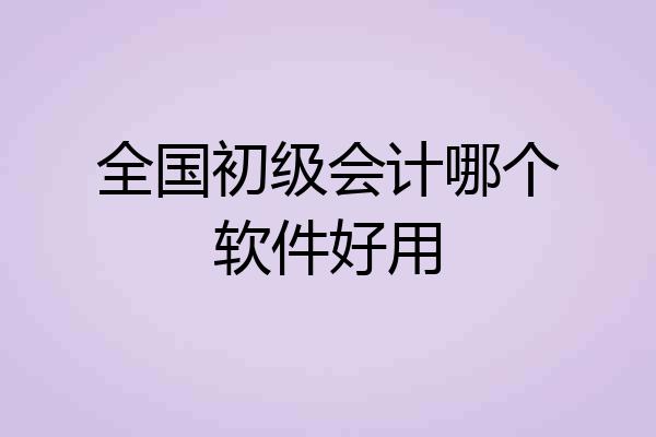 全国初级会计哪个软件好用
