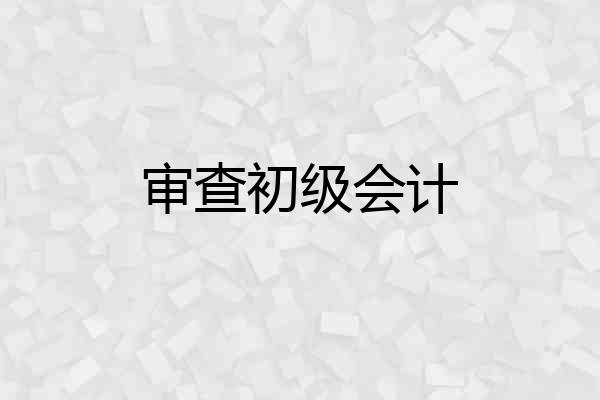 审查初级会计