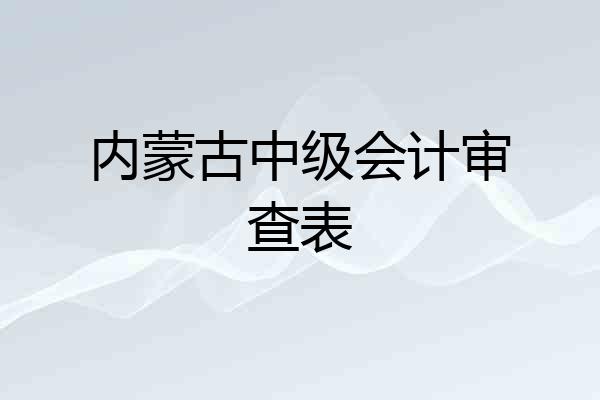 内蒙古中级会计审查表