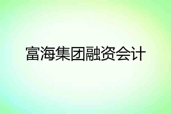 富海集团融资会计