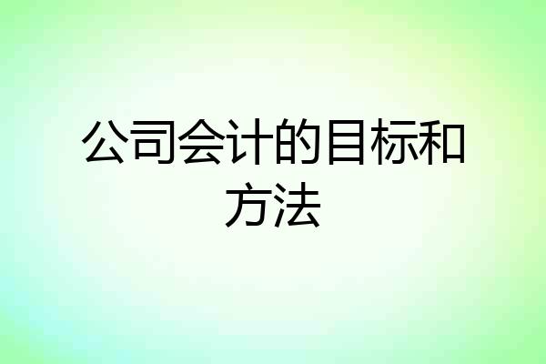 公司会计的目标和方法