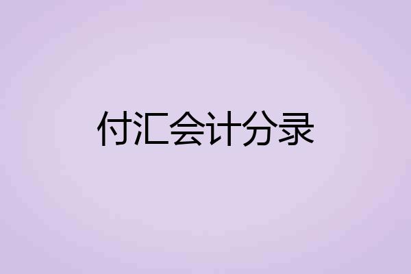 付汇会计分录