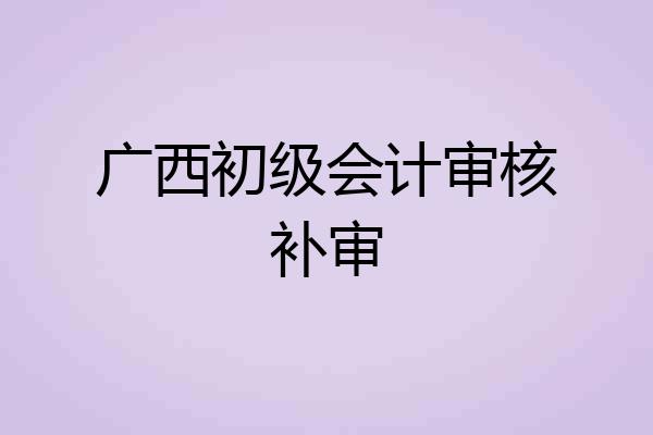 广西初级会计审核补审