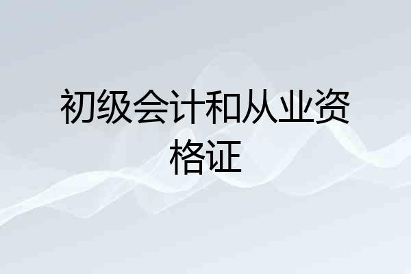 初级会计和从业资格证