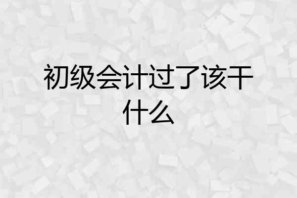 初级会计过了该干什么