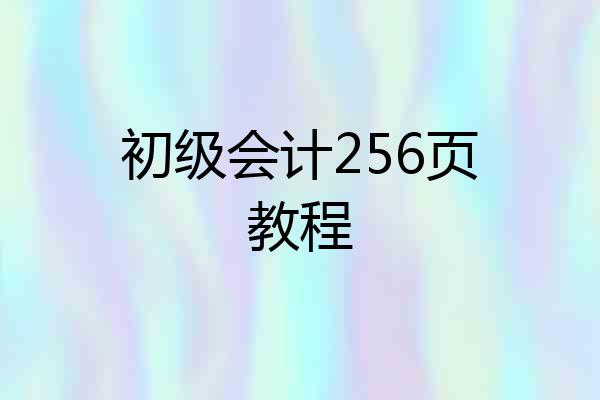 初级会计256页教程