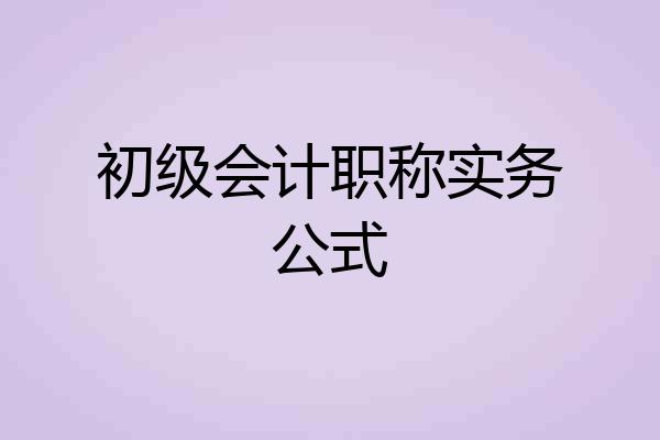 初级会计职称实务公式