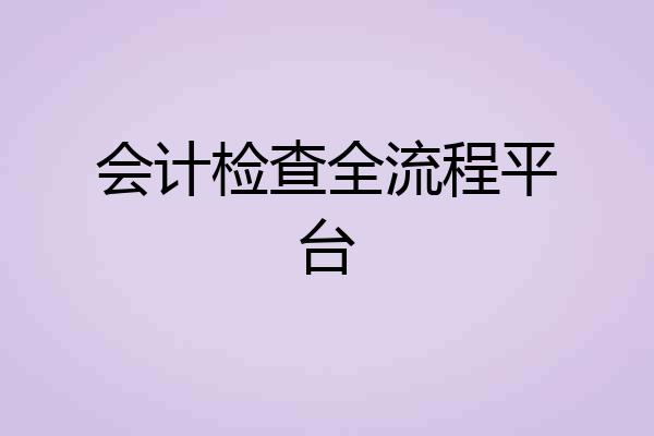 会计检查全流程平台