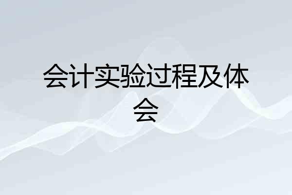 会计实验过程及体会