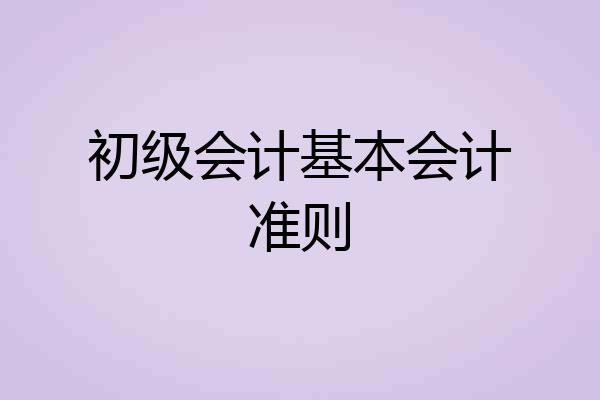 初级会计基本会计准则
