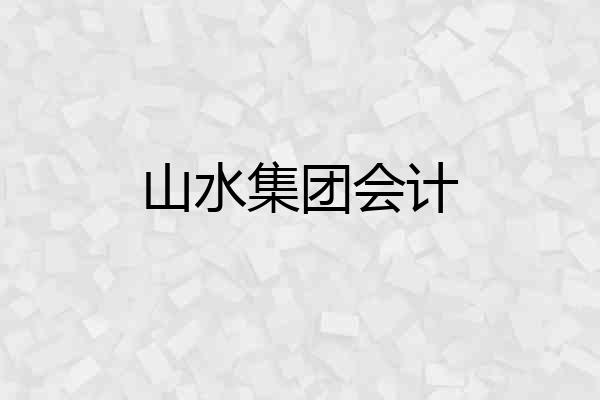 山水集团会计
