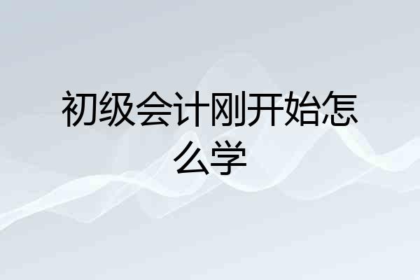 初级会计刚开始怎么学