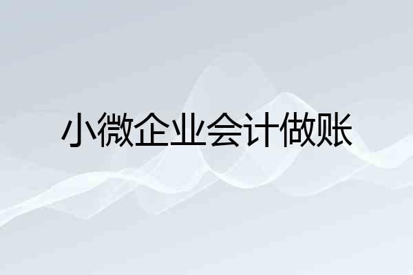 小微企业会计做账