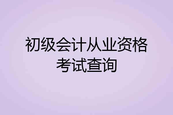 初级会计从业资格考试查询