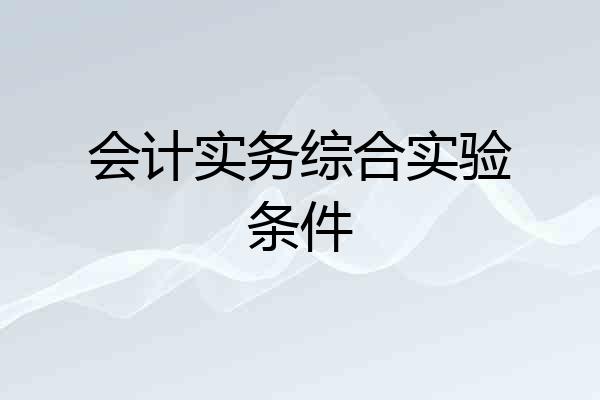 会计实务综合实验条件