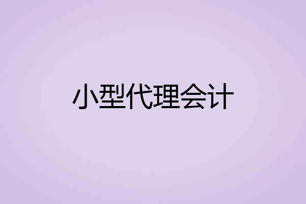 小型代理会计
