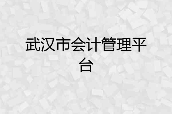 武汉市会计管理平台