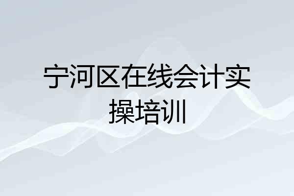 宁河区在线会计实操培训