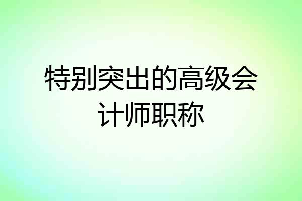 特别突出的高级会计师职称