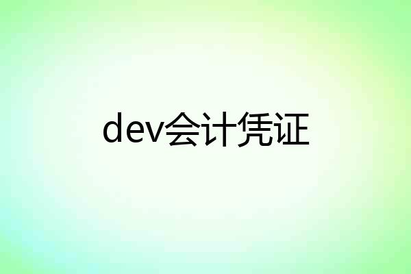 dev会计凭证